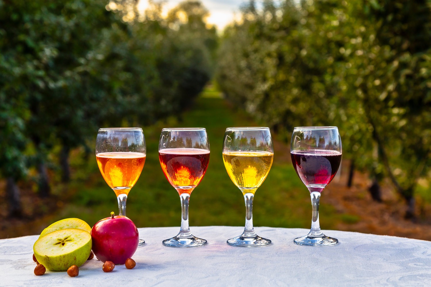 four glasses of fruit cider on table in from on orchard
